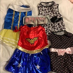 Bundle of dog clothes size Medium